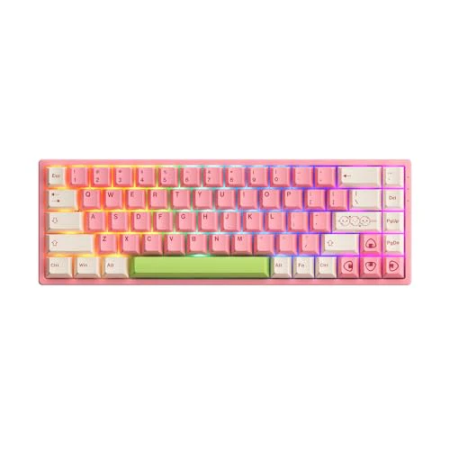 Akko 3068B Plus Mochi & Dango Hot-swappable Mechanical Gaming Keyboard with Cherry PBT Keycaps, Wireless/Wired 65 Percent 68-Key RGB Keyboard, Compatible with Mac & Win V3 Cream Yellow Pro